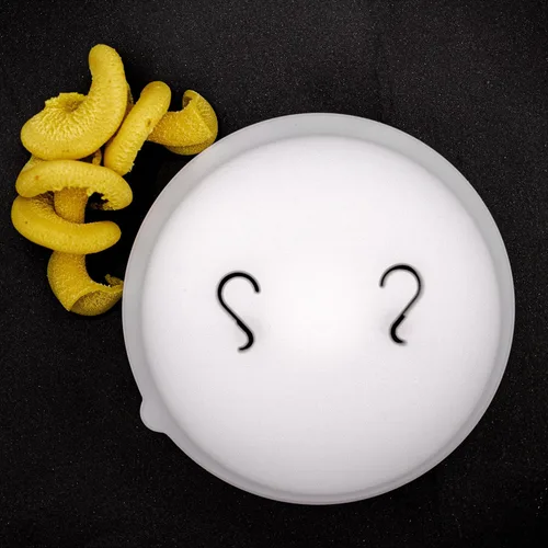 Vista 12 de Discos en forma de pasta Casarecce aptos para máquina automática de pasta y fideos Philips, accesorios para hacer pasta, electrodomésticos