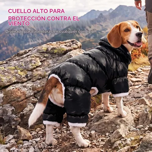 Vista 7 de AOFITEE Abrigo para perro, chaqueta impermeable para perro, abrigo de invierno para perros de cuerpo completo, traje de nieve, chaqueta acolchada a
