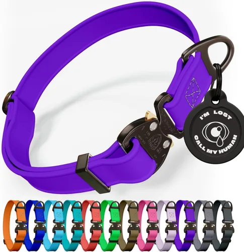 Vista 11 de Biothane - Collar de perro con hebilla de cobra, fabricado en Estados Unidos, etiqueta de identificación con código QR incluida, collares de perro