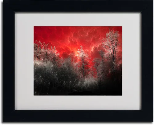 Vista 2 de Trademark Fine Art Hot and Cold by Philippe Sainte-Laudy Canvas Wall Art, Black Frame 11 by 14-Inch