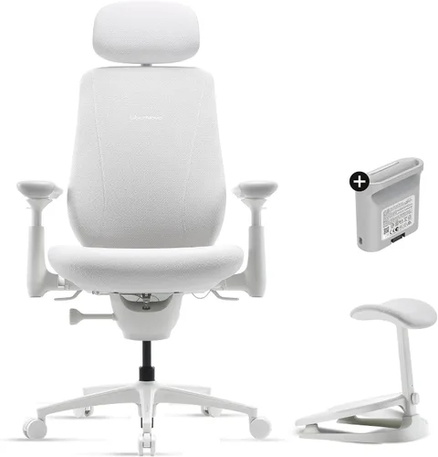 Vista 20 de LiberNovo Maxis Airflow - Silla de oficina ergonómica grande y alta