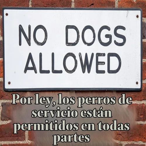 Vista 6 de Tarjetas de perro de servicio, 50 tarjetas para explicar tus derechos legales a llevar un perro de servicio en cualquier espacio.