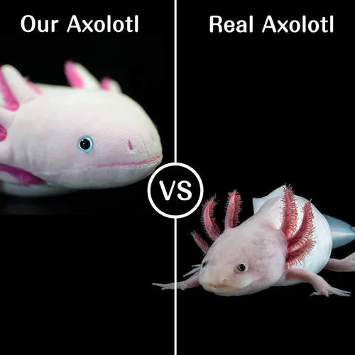 Vista 2 de Tiny Heart Peluche de Axolotl, animal de peluche, bonito juguete de peluche realista con ambistoma, regalos para niños, 18 pulgadas de largo