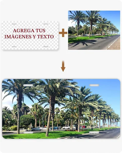 Vista 7 de Placa de Matrícula Delantera Personalizada, Placa de Matrícula Personalizada para la Parte Delantera del Coche con Imagen y Texto, Diseños de Placa