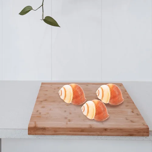 Vista 8 de Alipis 5 piezas de caracol real Escargot caracol francés resistente al calor seguro para horno microondas para decoración de restaurante