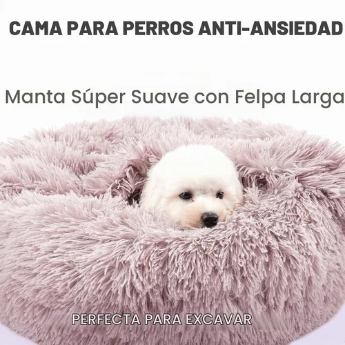 Vista 3 de Himax - Cama para perros pequeños cubierta con manta adjunta, color beige