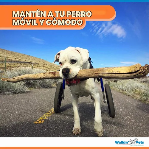 Vista 3 de Walkin' Wheels Silla de ruedas para perros, para perros grandes, de 70 a 180 libras, aprobada por veterinarios, silla de ruedas para perros para Azul