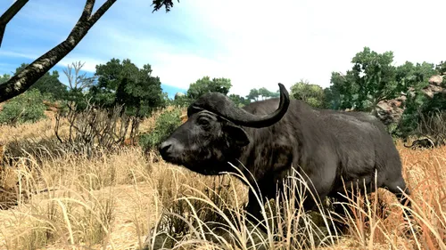 Vista 2 de Cabela's Big Game Hunter '10 - Playstation 3 (Game Only)