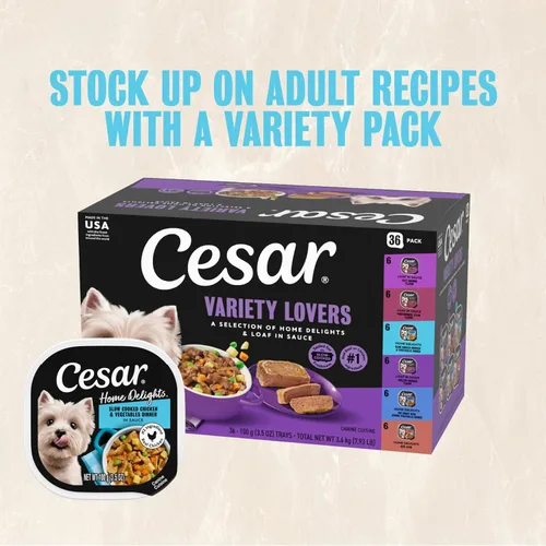 Vista 14 de Cesar - Comida para perro, 36 unidades y 60 unidades, paquete variado
