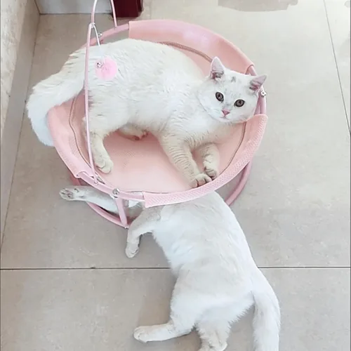 Vista 7 de Hamaca para gatos de fácil montaje, perca elevada para gatos, cama desmontable para perros pequeños con alfombrilla extraíble lavable para mascotas