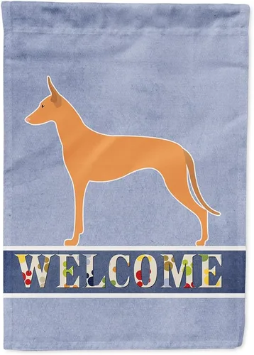 Vista 109 de Caroline's Treasures BB5552GF Affenpinscher Bandera de bienvenida para jardín, bandera decorativa para patio exterior, patio, parterres
