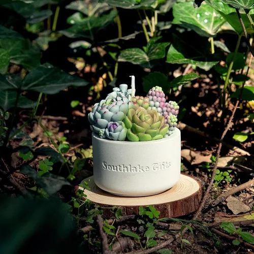 Vista 6 de Surtido suculento olla perfumada vela de cera vegetal para spa decoración del hogar regalo de boda