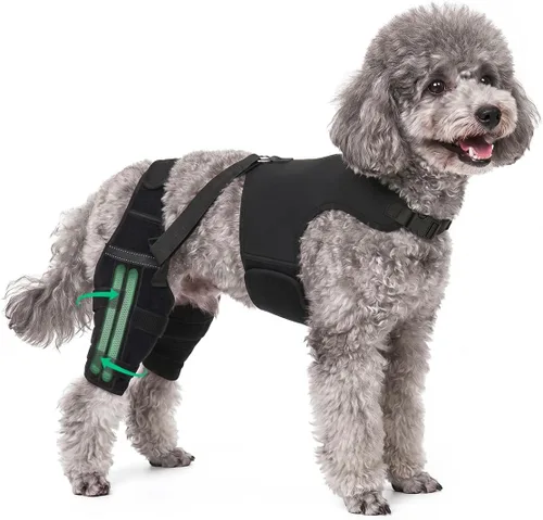 Vista 10 de Rodilleras para perro para soporte de pierna trasera, soporte ACL/CCL