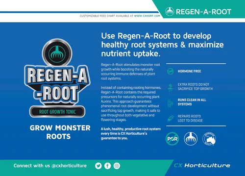 Vista 4 de Regen-A-Root - Estimulador de raíces sin hormonas para plantas Promueve el crecimiento explosivo de raíces en etapas vegetativas y de floración