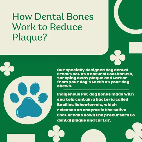 Vista 7 de Indigenous Pet Dental Health Bones - Paquete variado de tocino ahumado, zanahoria y calabaza, paquete de 2 (17 onzas cada uno) Masticables