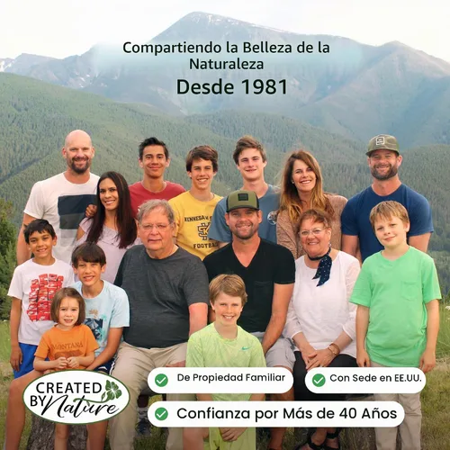 Vista 6 de Created By Nature Wild Iris Seeds, 400 semillas de flores perennes moradas