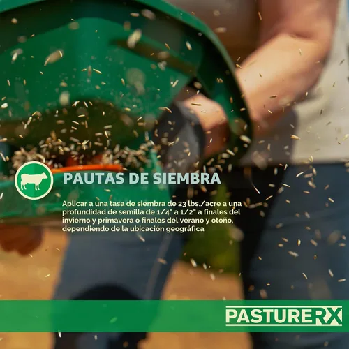 Vista 5 de Barenbrug PastureRX Premium - Mezcla de semillas de césped y forraje, 23 libras (norte y transición)