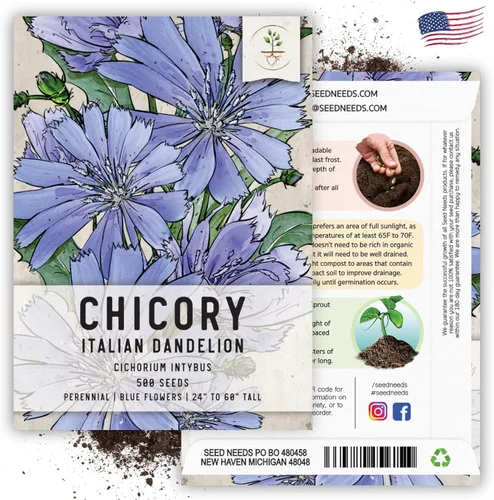 Vista 6 de Seed Needs - Semillas de achicoria para plantar flores azules de diente de león italiano, 1 paquete
