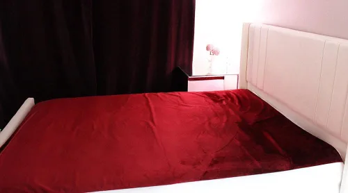 Vista 3 de Almohadilla de cama 100% impermeable y a prueba de manchas, masaje para parejas, ultrasuave, silenciosa, protector de sábanas de lujo con lados
