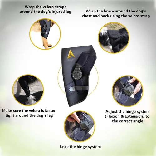Vista 4 de AGON Codera para perro para soporte de codo - Estabilizador de bisagra ajustable protector de codo para perro - Soporte de codo de neopreno