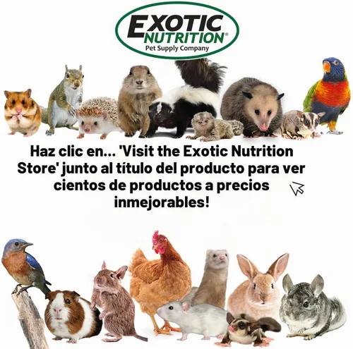 Vista 9 de Silent Runner regular de 12 pulgadas Rueda + accesorio de jaula Planeadores de azúcar, hámsters, ratas
