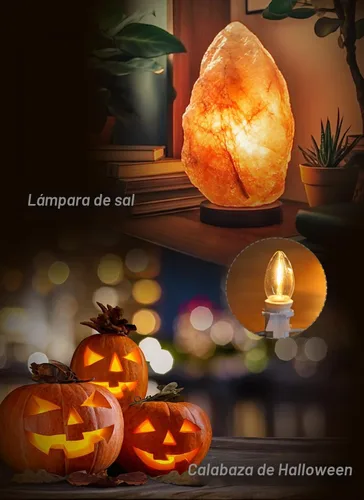 Vista 3 de Juego de 2 cables de accesorios de 6 pies con una bombilla LED, luces de cadena para interiores de molde soplado, lámpara C7 con fusible de repuesto