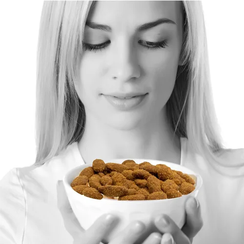 Vista 3 de Caramelo de nuez cubierto en mitades deliciosamente decadentes – Certificado Kosher – 3 bolsas, 5 onzas cada uno (cacao)