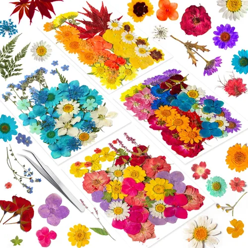 Vista 11 de 96 piezas de flores blancas secas y prensadas vintage para manualidades con resina - Juego de flores naturales reales de YouthBro con 50 calcomanías
