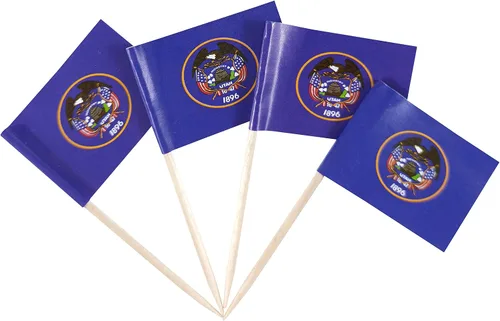 Vista 19 de JBCD Bandera de palillo de dientes de Arkansas Mini Banderas pequeñas para cupcakes de Arkansas, 100 piezas