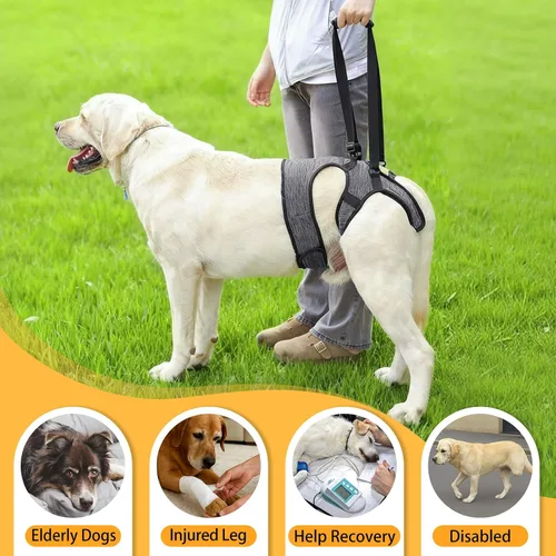 Vista 5 de LIANZIMAU Arnés de elevación ajustable para perros grandes, arnés de elevación ajustable para patas traseras, arnés de ayuda para la movilidad