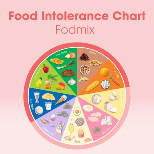 Vista 8 de Intoleran Fodmix (Quatrase 10,000) Digestive Enzymes Testpack - 6 Cápsulas