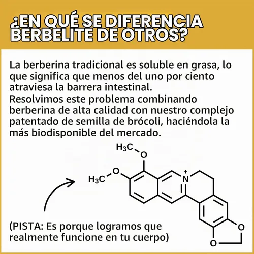Vista 6 de Mara Labs BerbElite 350mg Berberina HCL & Complejo de semillas de brócoli