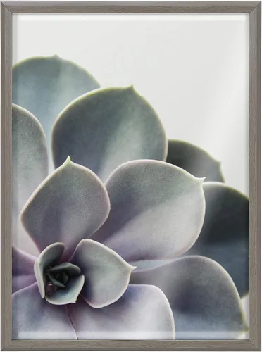 Vista 6 de Kate and Laurel Blake Succulent - Arte de pared de vidrio impreso con 5 marcos por Emiko y Mark Franzen de F2Images, 18 x 24 pulgadas, color gris