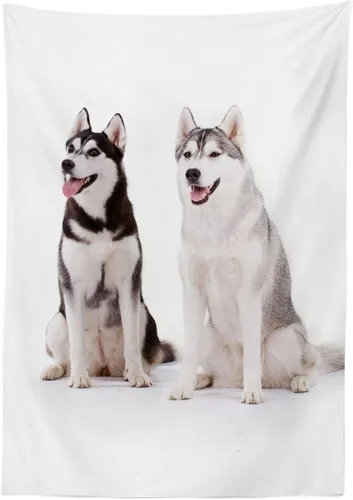 Vista 2 de Alaskan Malamute al aire última intervensión mantel por Ambesonne, peludo Arctic Doggies Husky Whelp Pedigree mascota feliz siberiano mamíferos