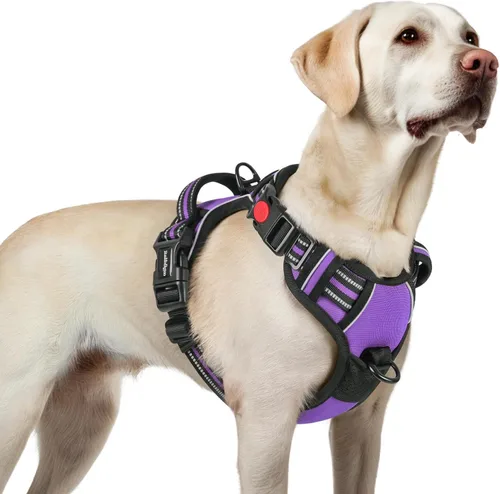 Vista 24 de Rabbitgoo - Arnés para perro de tamaño pequeño, arnés para mascotas sin tirones con 3 hebillas, chaleco acolchado suave ajustable con mango