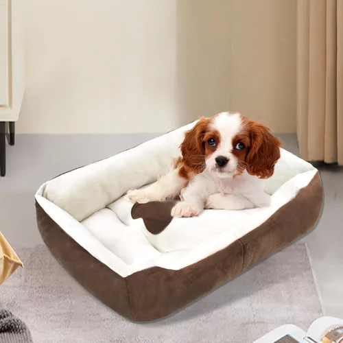 Vista 4 de Camas para perros pequeños, camas rectangulares para gatos de interior, cama lavable de 20 x 15 x 6 pulgadas para mascotas con lateral y parte