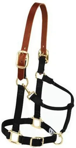 Vista 5 de Weaver Equine Breakaway Horse Halter, Supple Leather Crown, Adjustable Brass Throat Snap Halters for Horses, Equine Tack