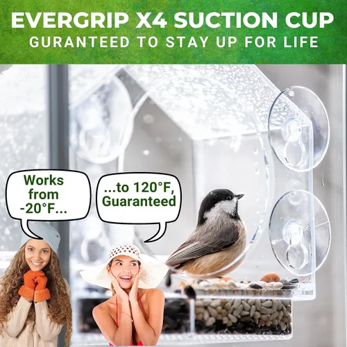 Vista 5 de Nature Everywhere. Comedero de aves para vidrio (tamaño grande) Edición de regalo para días feriados Incluye una charola de fácil remoción, 4