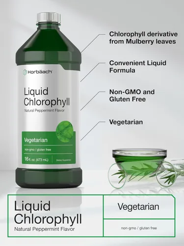 Vista 4 de Horbäach Clorofila líquida 100 mg 32 onzas líquidas (2 botellas de 16 onzas líquidas) Gotas naturales con sabor a menta Fórmula