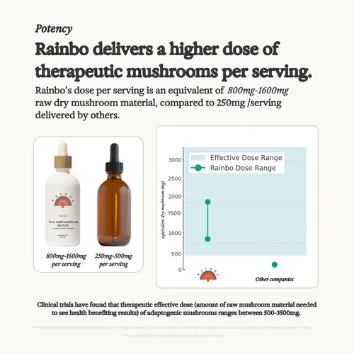 Vista 8 de Rainbo - Tintura de hongos Cordyceps - Suplemento de hongo de extracto dual - Apoyo inmunológico, energía, suplemento Cordyceps líquido, vegano, sin