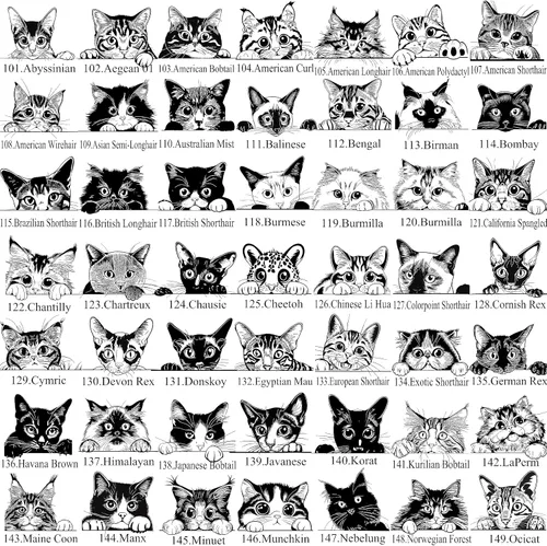 Vista 2 de Decoración personalizada para habitación de gatos, regalos temáticos personalizados para mujeres, letreros para el hogar, decoración redonda