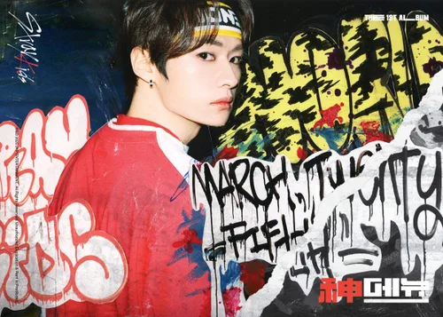 Vista 6 de Stray Kids 'Go' 1er álbum versión aleatoria 80p PhotoBook+2p PhotoCard+8p Folleto lírico+4 películas cortadas+tarjeta secreta+seguimiento Kpop