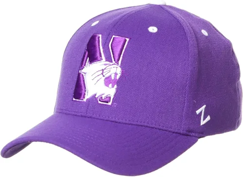 Vista 35 de ZHATS - Sombrero ajustado elástico para hombre de la NCAA, color del