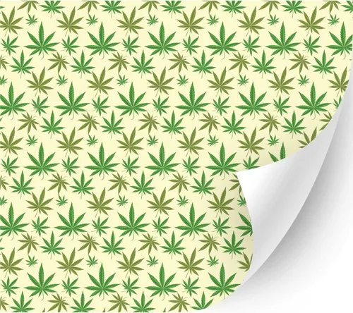 Vista 6 de 4/20Cannabis Orajet 3164 Vinilo adhesivo brillante (hojas coloridas de cannabis, 11 x 12 pulgadas) – Vidrio para automóvil, calcomanías