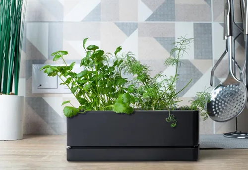 Vista 3 de D'vine Dev - Maceta para ventana de 12 pulgadas, maceta rectangular de plástico para hierbas con agujeros de drenaje y plato, maceta de suculentas
