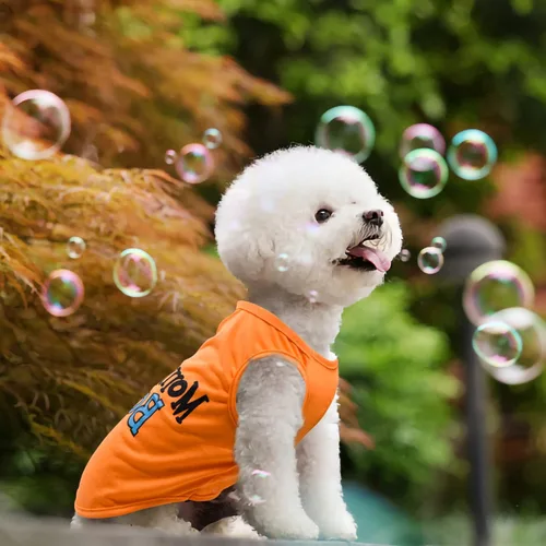 Vista 4 de 8 camisas para mascotas para perros pequeños, gatos, ropa suave y transpirable impresa con bonito patrón, sudadera para perro para chihuahuas Para