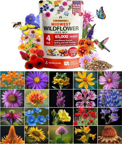 Vista 14 de HOME GROWN - 49 000 semillas de flores silvestres, mezcla a granel, 2 onzas, 21 variedades de mezcla de flores silvestres, para atraer abejas