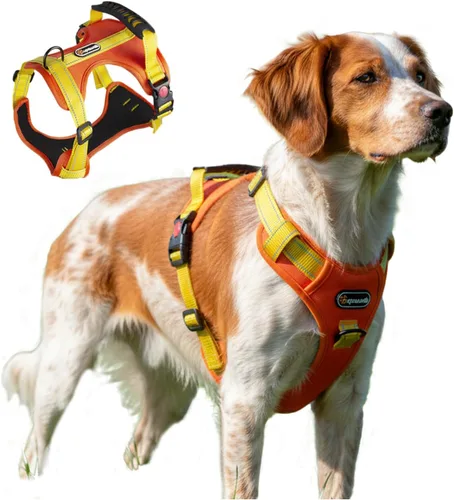 Vista 13 de Arnés táctico para perro, ajustable, sin tirones, con correas reflectantes y asa, arnés para cachorros con clips metálicos dobles para correa