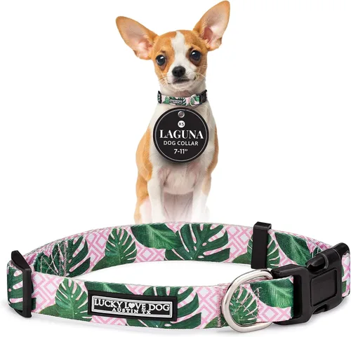 Vista 92 de Lucky Love Dog - Collar para perras pequeñas, diseño Blackbird de estampado alegre con flores de primavera y verano, talla XS Collar Blackbird