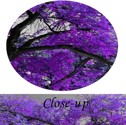 Vista 5 de KREATIVE ARTS Impresiones en lienzo con marco de árbol morado, arte de pared con paisaje de árbol grande, imagen contemporánea para decoración